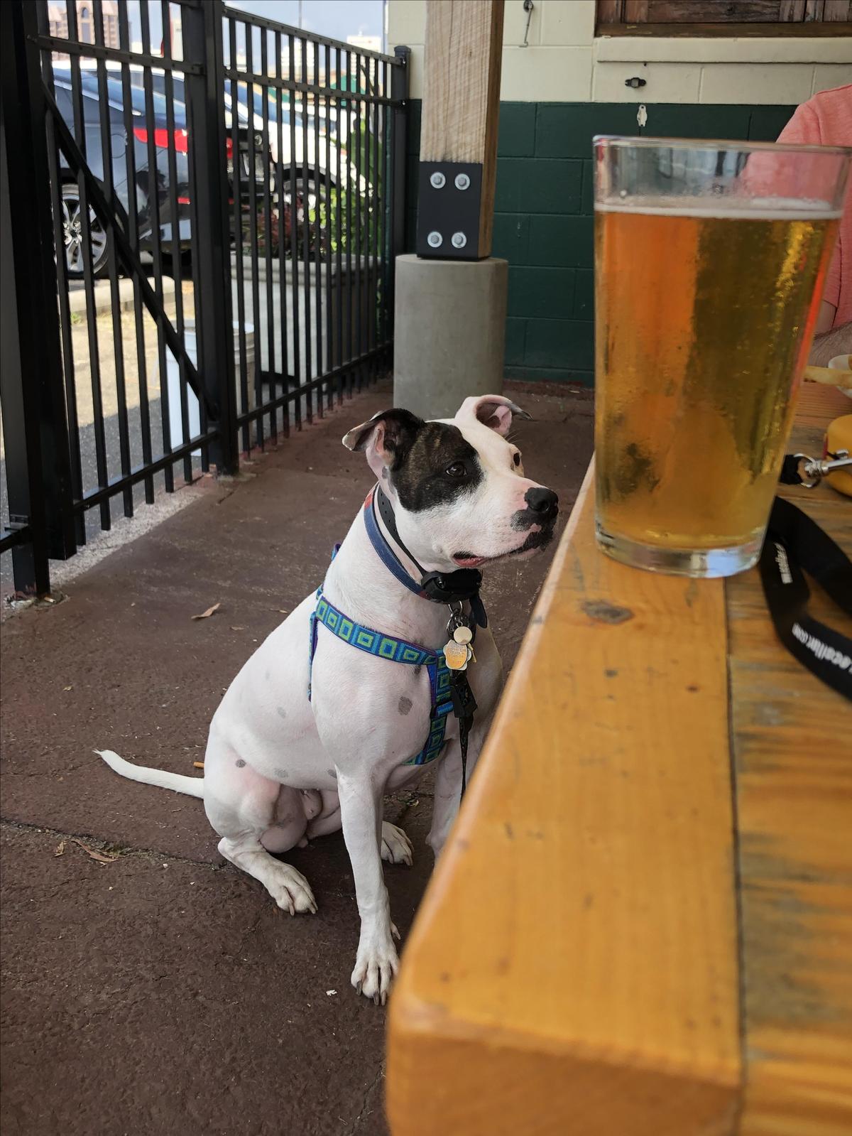 Legend Brewing Company restaurant view 3