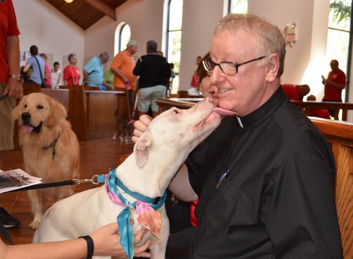 The Blessing of the Animals Festival Offers Pet Blessings in Tampa, FL. Bring Your Dog to the Blessing of the Animals Festival in Tampa, FL.