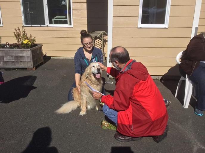 South Pacific County Humane Society Hosts a Pet Blessings in Long Beach, WA.. Bring Your Dog to a Blessing Of the Animals in Long Beach, WA.