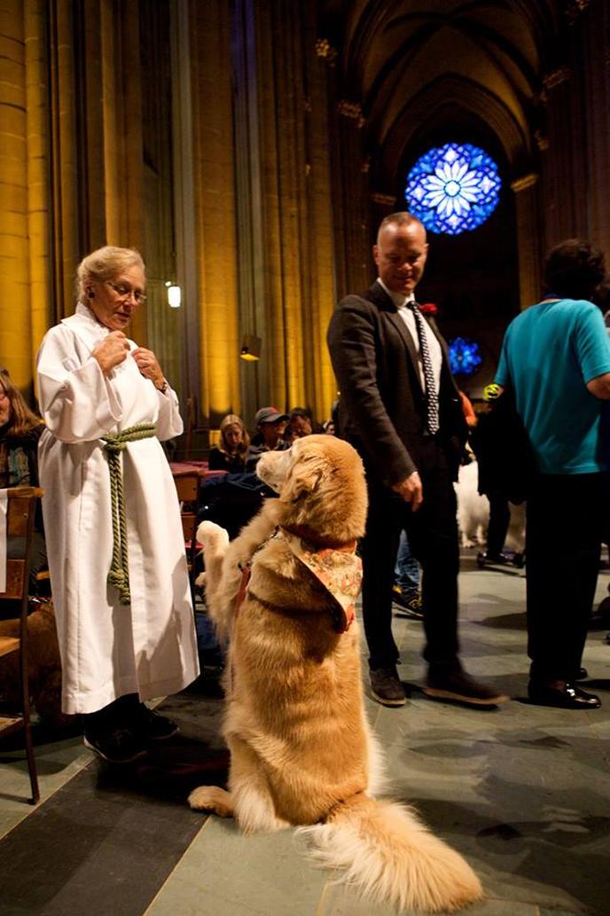 Bring Your Dog to Be Blessed at the Pet-Friendly St. Francis Day Fair in New York, NY. St. Francis Day Fair Hosts a Pet Blessing in New York, NY.