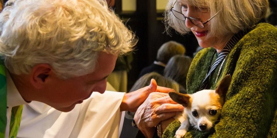 Blessing of the Animals - BringFido