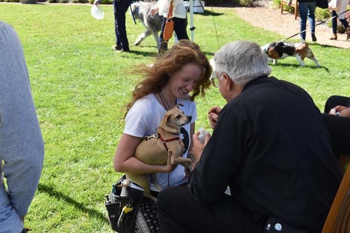 Bring Your Dog to Be Blessed at the St Francis Winery & Vineyards Annual Blessing of the Animal. Visit the Blessing of the Animals at St Francis Winery in Santa Rosa, CA.