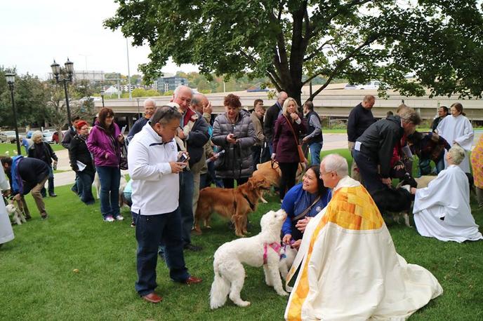 Bring Your Dog to the Blessing of the Animals in Minneapolis, MN. Visit the Blessing of the Animals at the Basilica of Saint Mary For a Pet Blessing.
