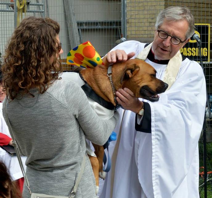 The Blessing of Animals is Hosted in Downtown Toronto at the Cathedral Church of St. James. Visit the Blessing of Animals at the Cathedral Church of St. James in Downtown Toronto.
