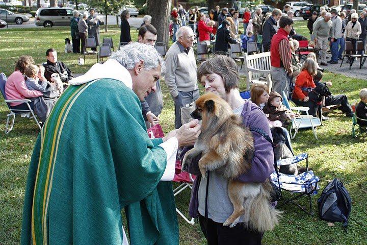 St. Francis Blessing of the Animals is Held in Asheville, NC.