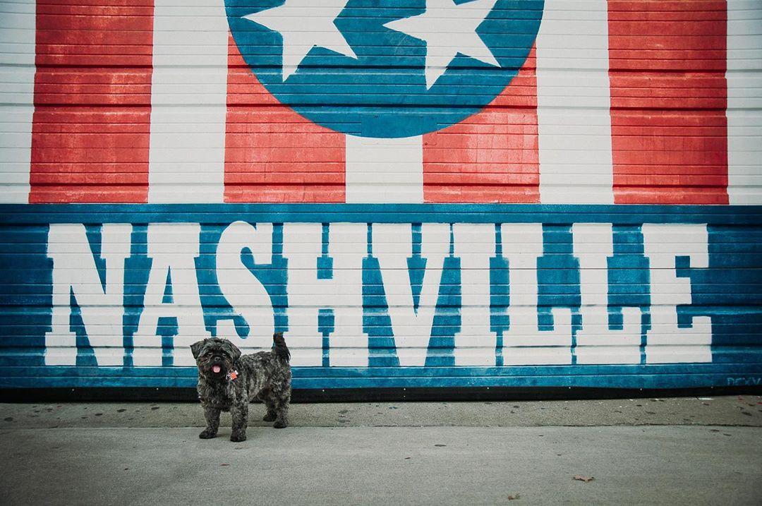 Our Weekend in Nashville — Through Jam's Eyes