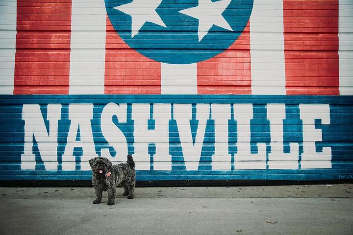 Bring Your Dog for a Dog-Friendly Weekend in Nashville.