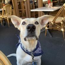 Crepevine restaurant view 1