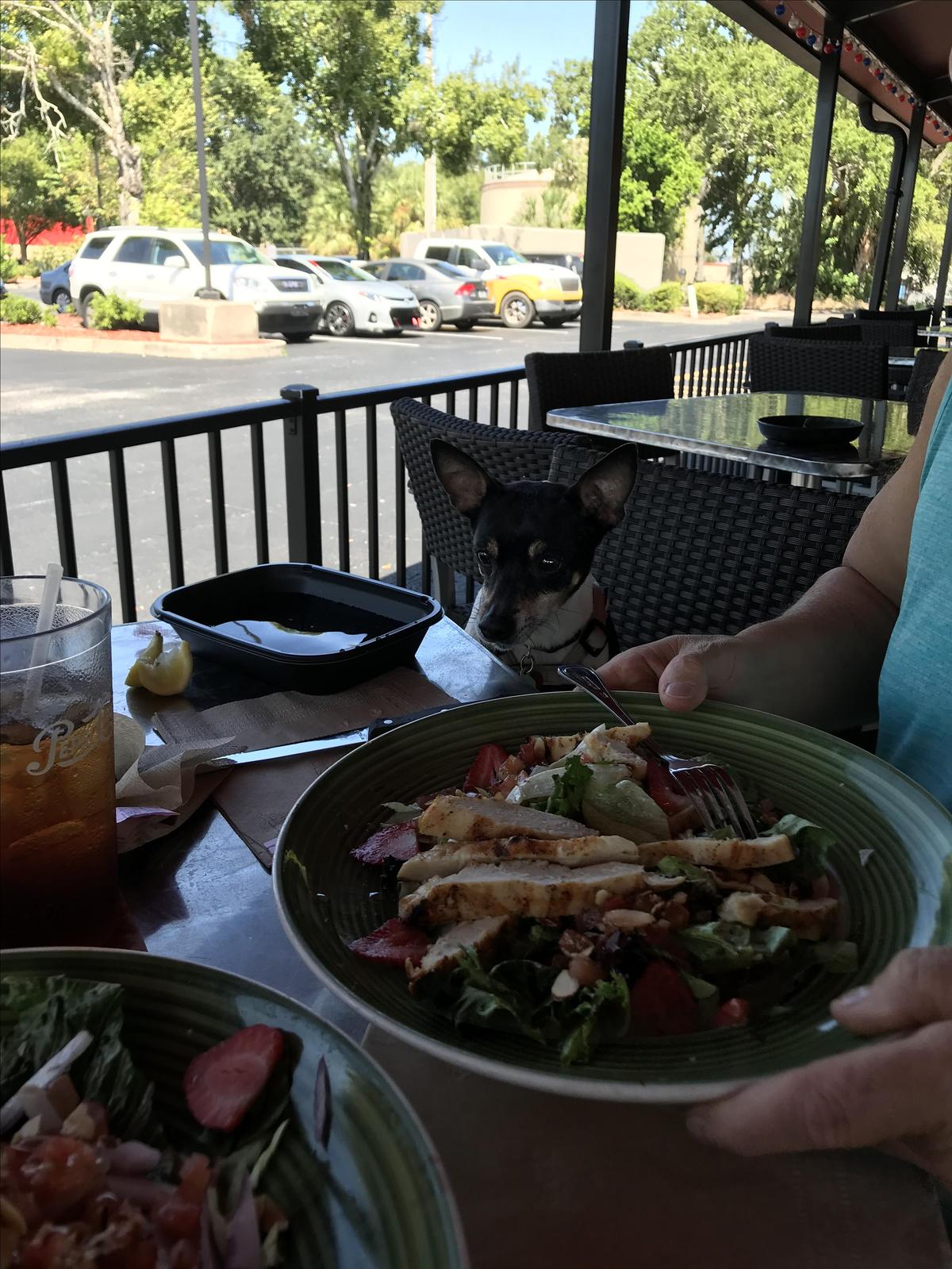 Applebees restaurant view 1