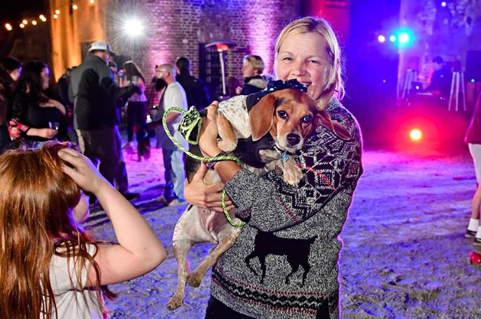 See the Sights of Charleston on a Pet-Friendly Walking Tour with Bulldog Tours. Take a Pet-Friendly Walking Tour of Iconic Charleston.