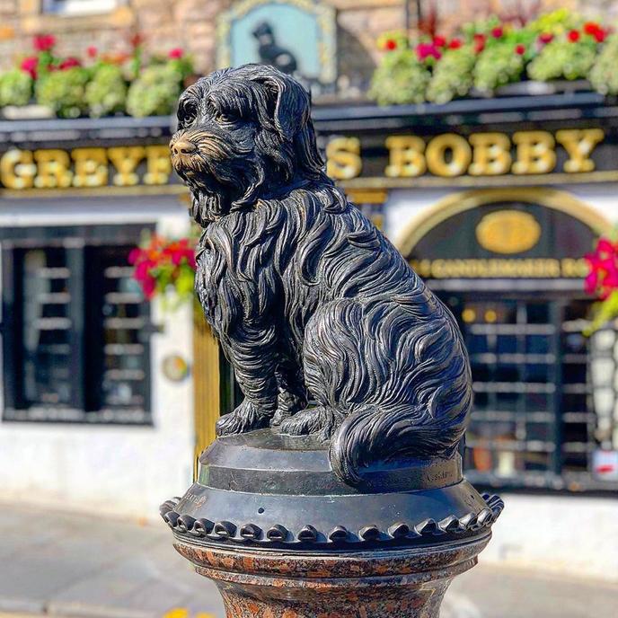 Experience The Locations of Harry Potter With Your Pup on This Pet-Friendly Walking Tour. Bring Your Dog of a Pet-Friendly Walking Tour in Edinburgh.