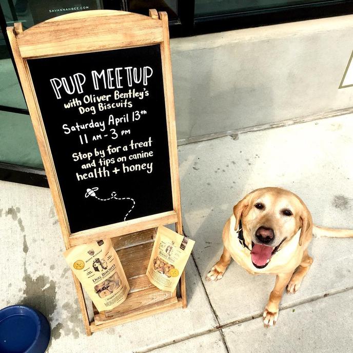 Oliver Bentleys Historic Dog Walk Tour Drops Knowledge and Treats in Savannah, GA. Bring Your Dog on a Historic Pet-Friendly Walking Tour in Savannah, GA.
