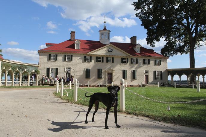 George Washington's Mount Vernon Offers Pet-Friendly Walking Tours in Alexandria, VA. Bring Your Dog on a Pet-Friendly Walking Tour at Mount Vernon.