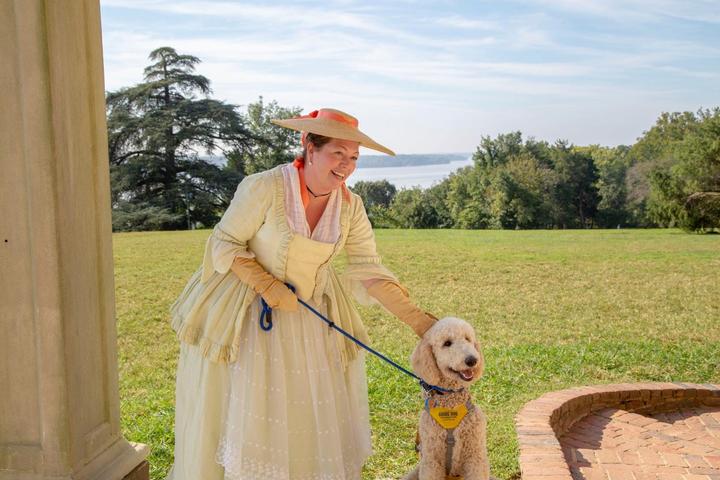 Take a Stroll Through These Pet-Friendly Walking Tours Around the World.
