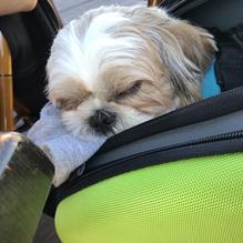 Port 305 restaurant view 1