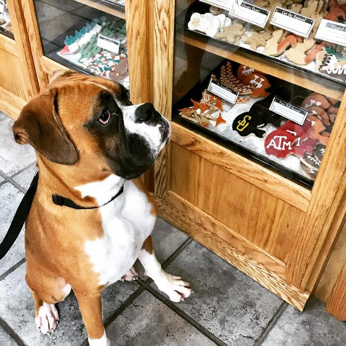 Tail Waggins Dog Bakery in Georgetown, TX makes seasonal decorated cookies. Tail Waggins Dog Bakery in Georgetown, TX sells seasonal and Aggies themed cookies for dogs.