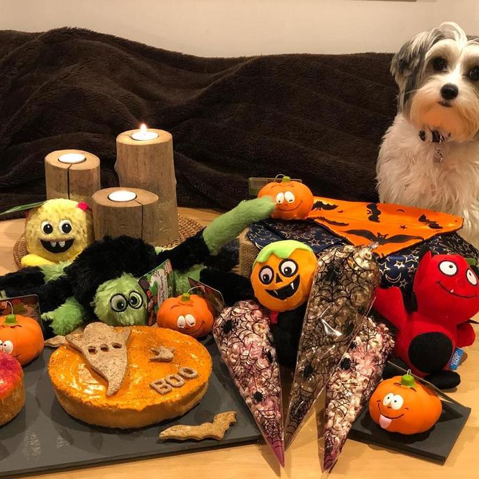 The Pooch Pantry in Scotland bakes desserts for dogs. The Pooch Pantry is the best place to get cute, custom decorated desserts for dogs in Scotland.