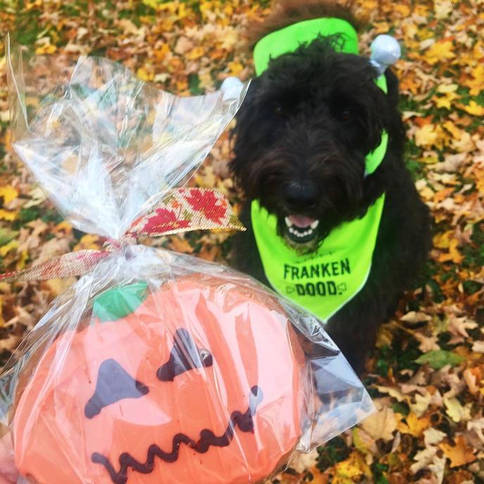 Baked Halloween Goods for Dogs at River Dog Bakery in Knoxville, TN. River Dog Bakery creates seasonal special baked treats for dogs.