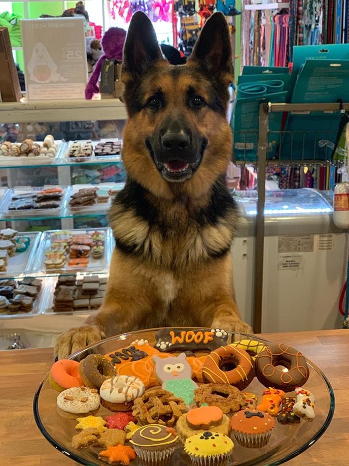 WOOF! WOOF! Pet Boutique & Biscuit Bar, a dog bakery in Bristol, Rhode Island. Get seasonal dog treats at WOOF! WOOF! Pet Boutique & Biscuit Bar in Bristol, RI.