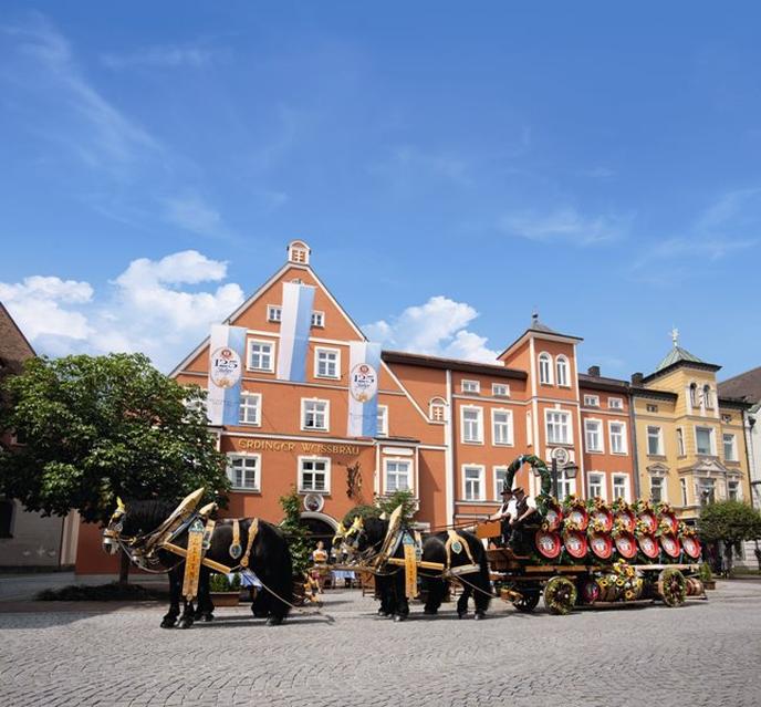 This pet-friendly brewery hotel has a beer tradition that spans centuries. The historic Hotel zum Erdinger Weissbrau is a pet-friendly brewery hotel.