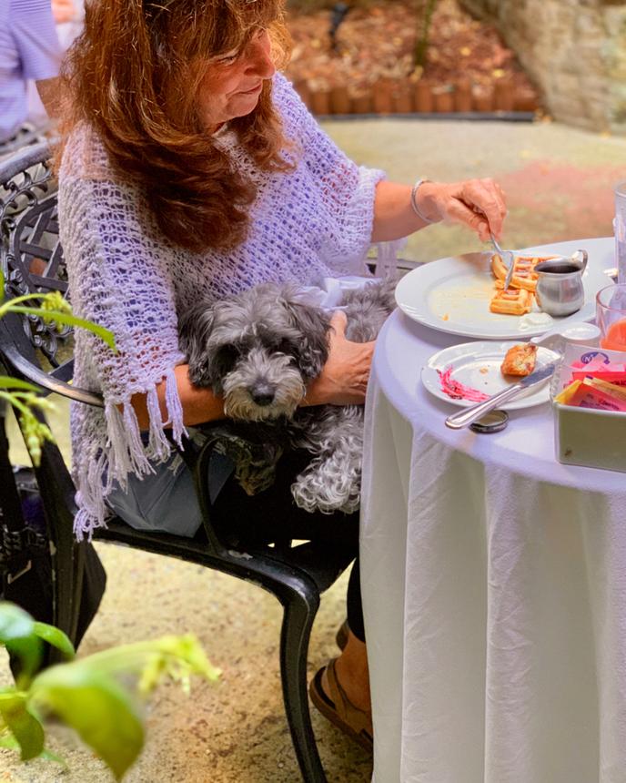 Breakfast in Style with Fido at the Foley House Inn in Dog-Friendly Savannah. Breakfast With Fido at the Dog-Friendly Foley House Inn.