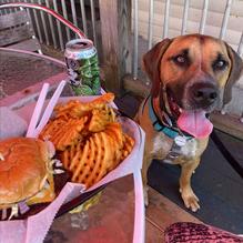 Tricky Fish restaurant view 2