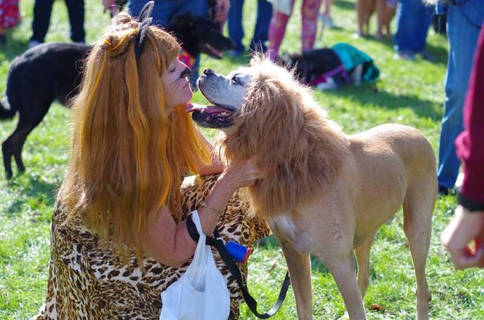 Berea Animal Rescue Friends Monster Mutt Dash Is a Pet-Friendly Halloween Race in Berea. Bring Your Dog to a Pet-Friendly Halloween Race in Berea.