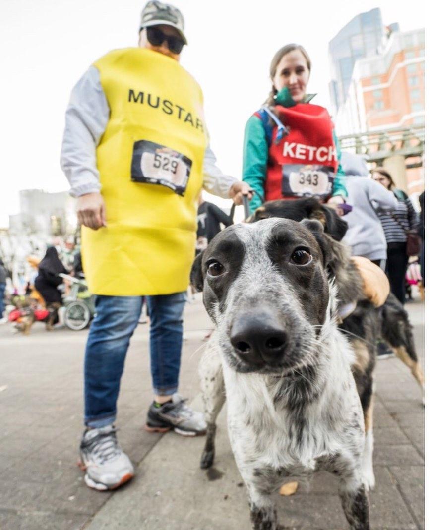 Who’s Afraid of the Big Bad Woof? 10 Petrifying Pet-Friendly Halloween Races