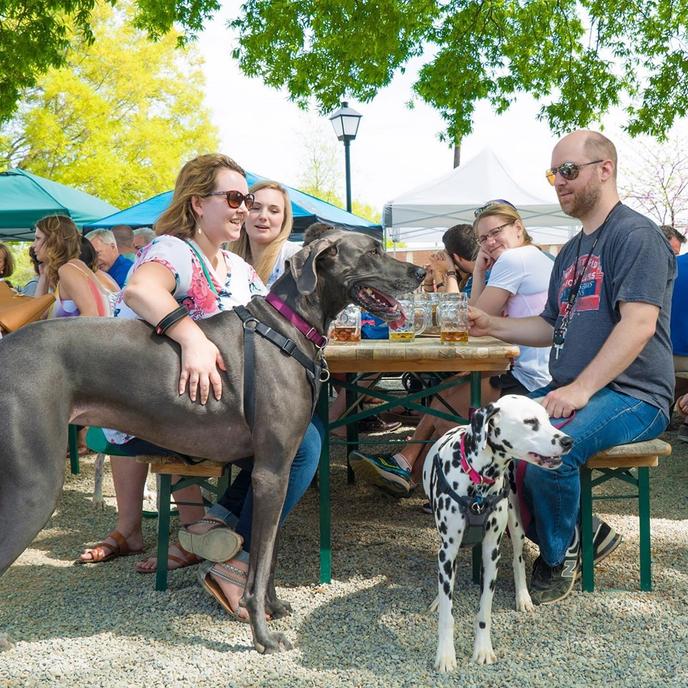 The largest biergarten in the southeast, The Olde Mecklenburg Brewery in Charlotte, is dog friendly. Pet-friendly The Olde Mecklenburg Brewery in Charlotte is the largest biergarten in the south.