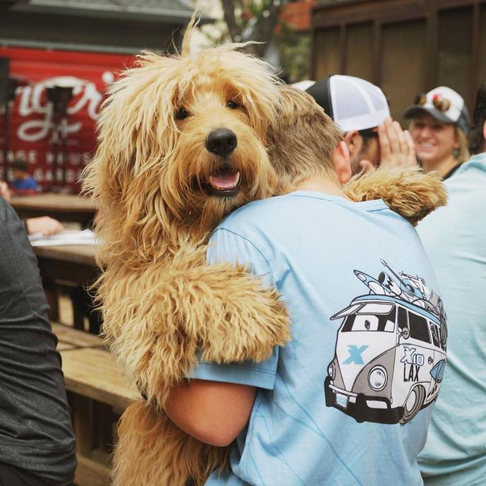 Fido Will Love Banger's Sausage House's Dog-Friendly Beer Garden. Banger's Sausage House & Beer Garden Is a Pet-Friendly Beer Garden in Austin.