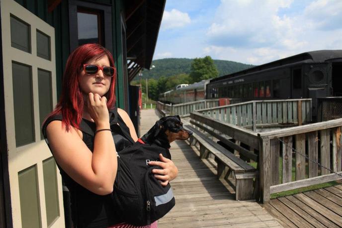 Visit Historic Towns With Fido on This Pet-Friendly Train Ride Through the Catskills. Delaware and Ulster Railroad Is a Pet-Friendly Train Ride in the Catskill Mountains.