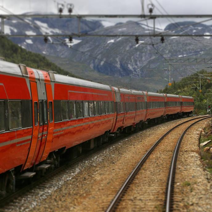 The Bergen Line Is a Pet-Friendly Train Ride That Travels From Oslo to Bergen. The Bergen Line Is a Pet-Friendly Train Ride in Norway.