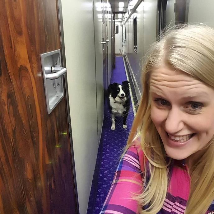 Take a Pet-Friendly Train Ride Overnight From Scotland to London. Caledonian Sleeper Is a Pet-Friendly Train Ride Running Between Scotland and London.