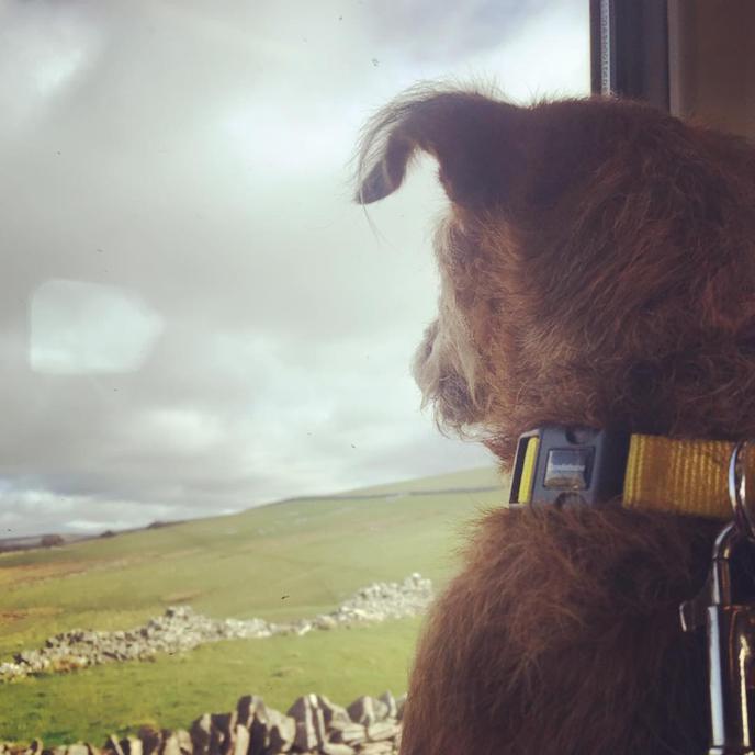 Bring Fido on a Pet-Friendly Train Ride in the United Kingdom. The Settle - Carlisle Railway Is a Pet-Friendly Train Ride in Britain.