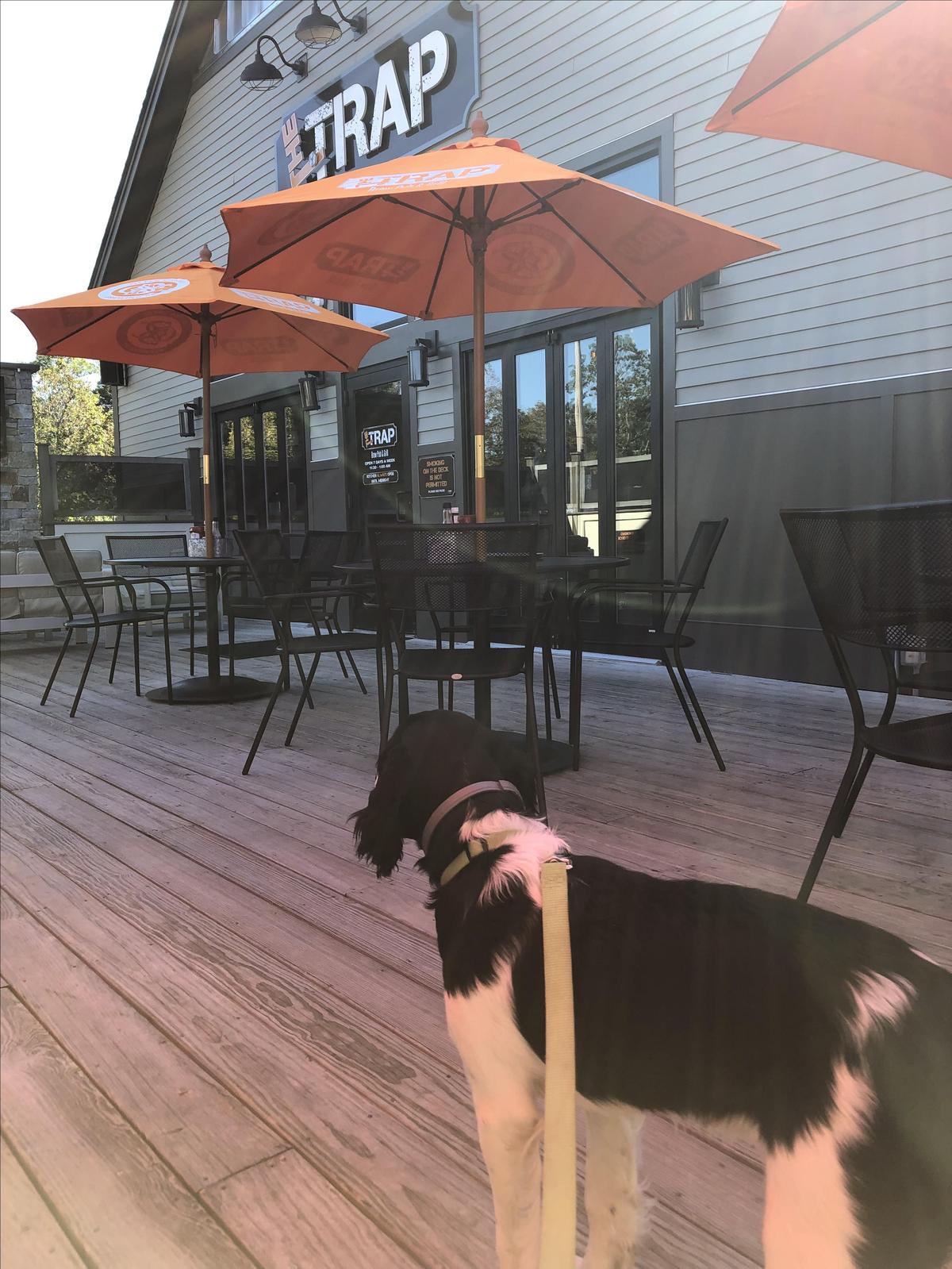 The Trap restaurant view 2
