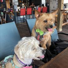 Marina Bar & Grill restaurant view 4