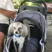 Farmhouse Cafe restaurant view 2