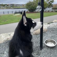 Mason's Brewing Co. restaurant view 11