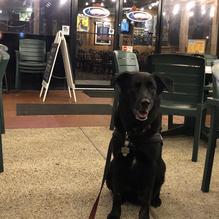 Arena's Deli restaurant view 5