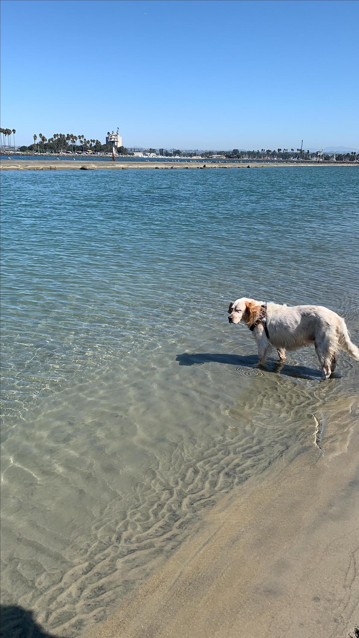 Checking Out Water Temp