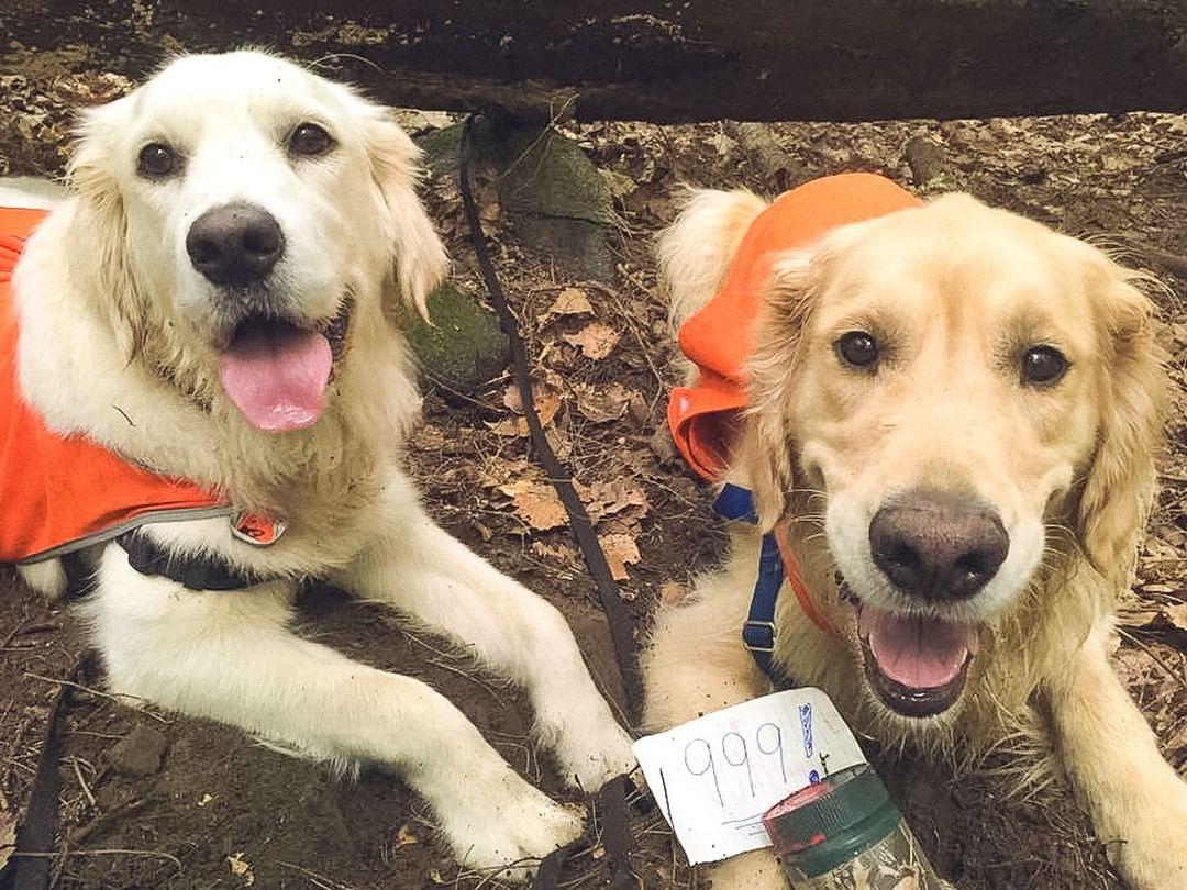 Where to Go Geocaching With Fido