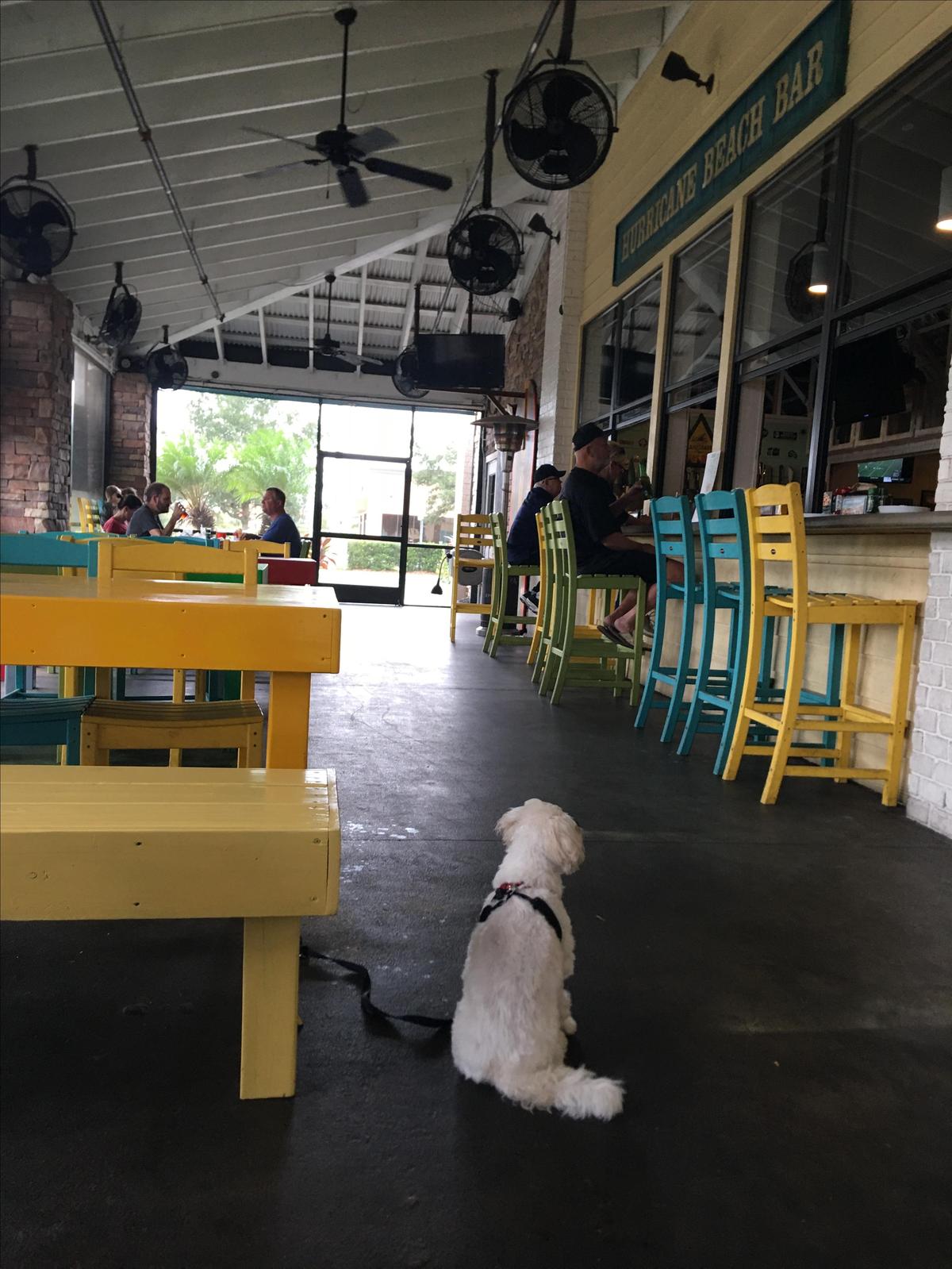 Hurricane Wings & Grill restaurant view 11