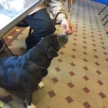 Oyster Bay Bar & Casino restaurant view 1