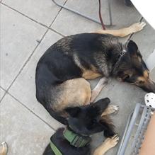 Meijo Sushi restaurant view 1