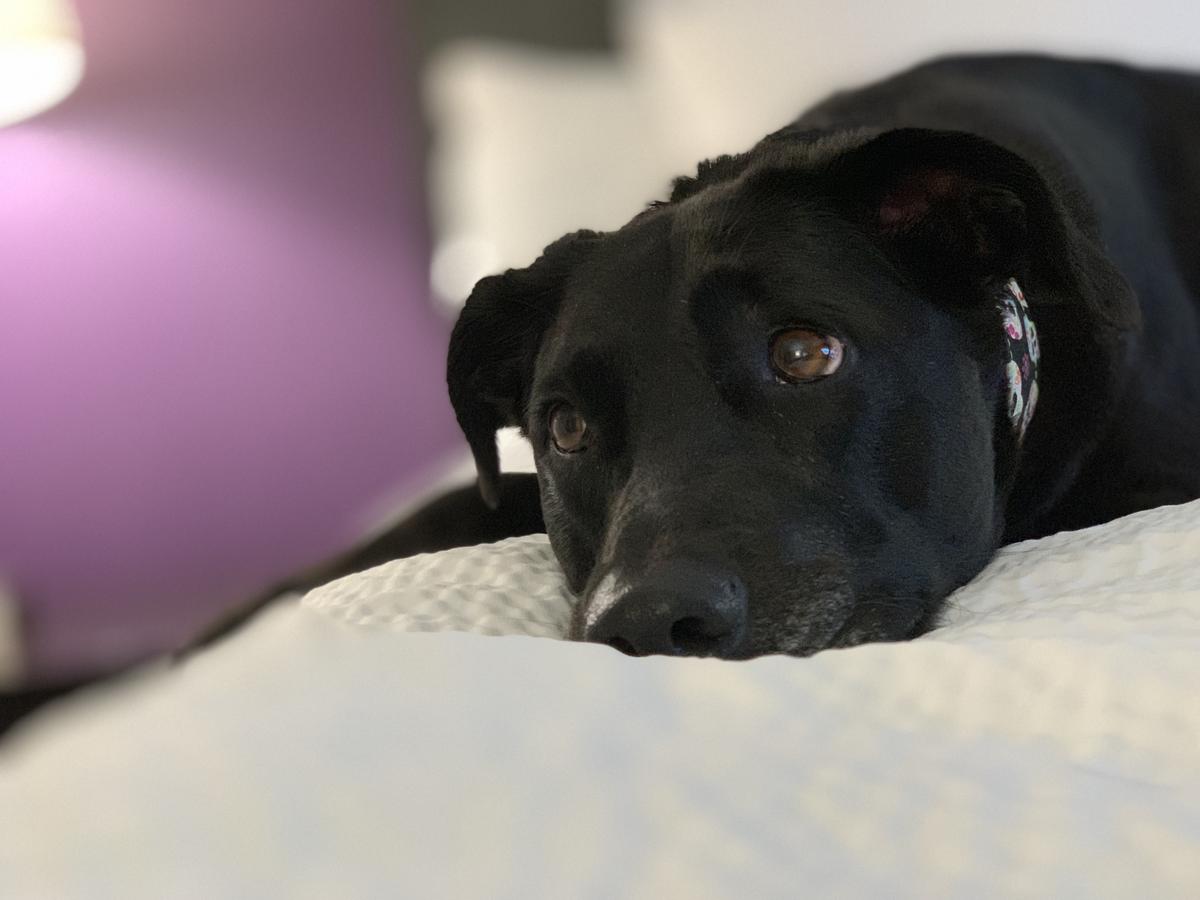 Madasyn at La Quinta