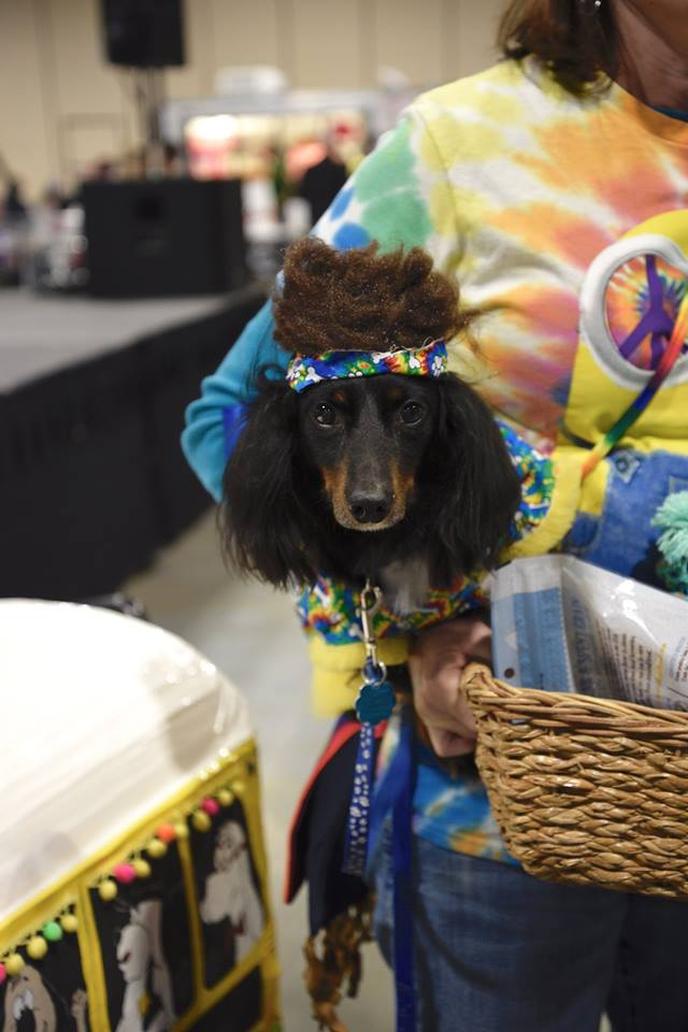 WoofStock Florida Is a Dog-Friendly November Event in Fort Pierce.