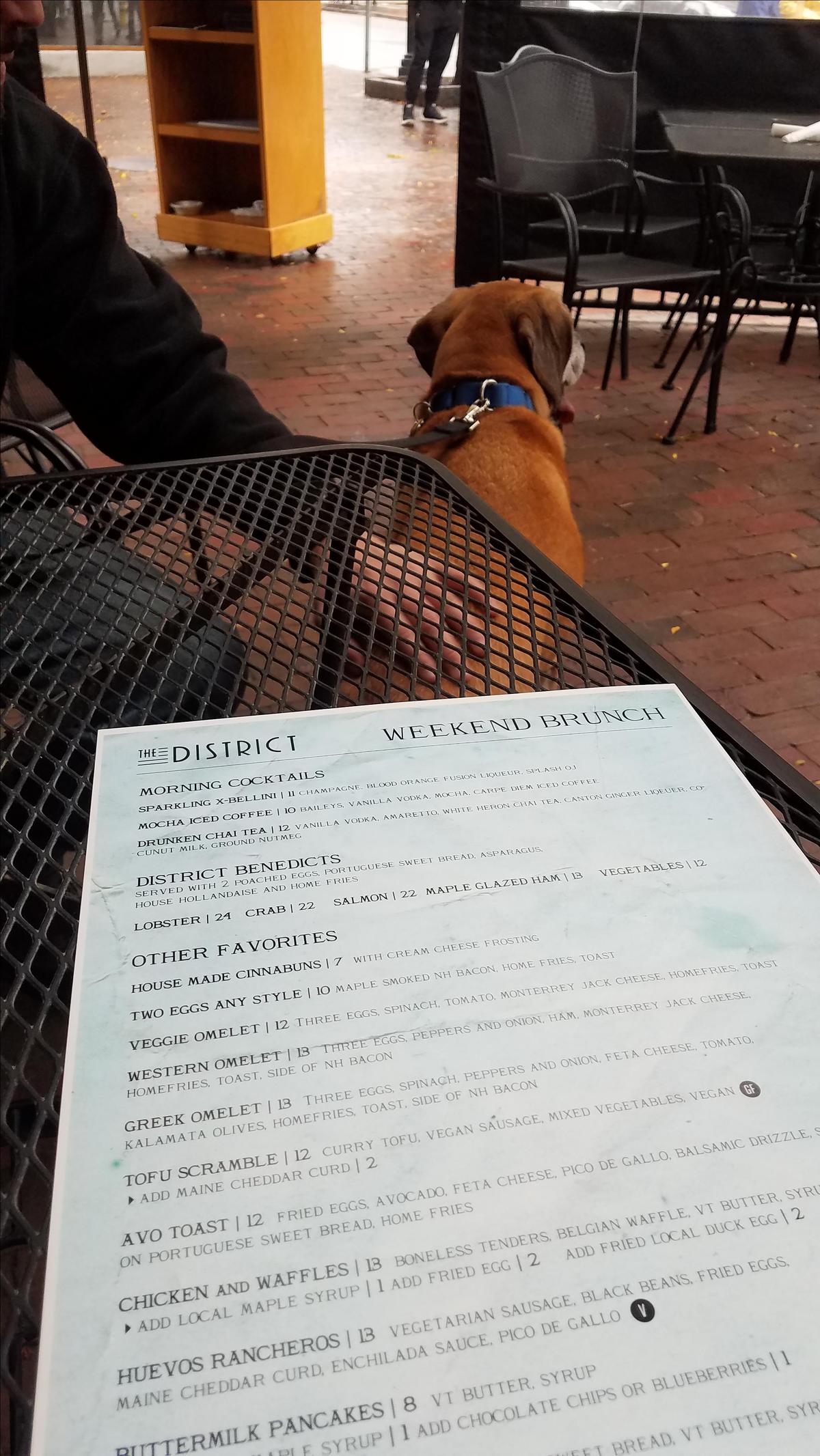 The District restaurant view 3