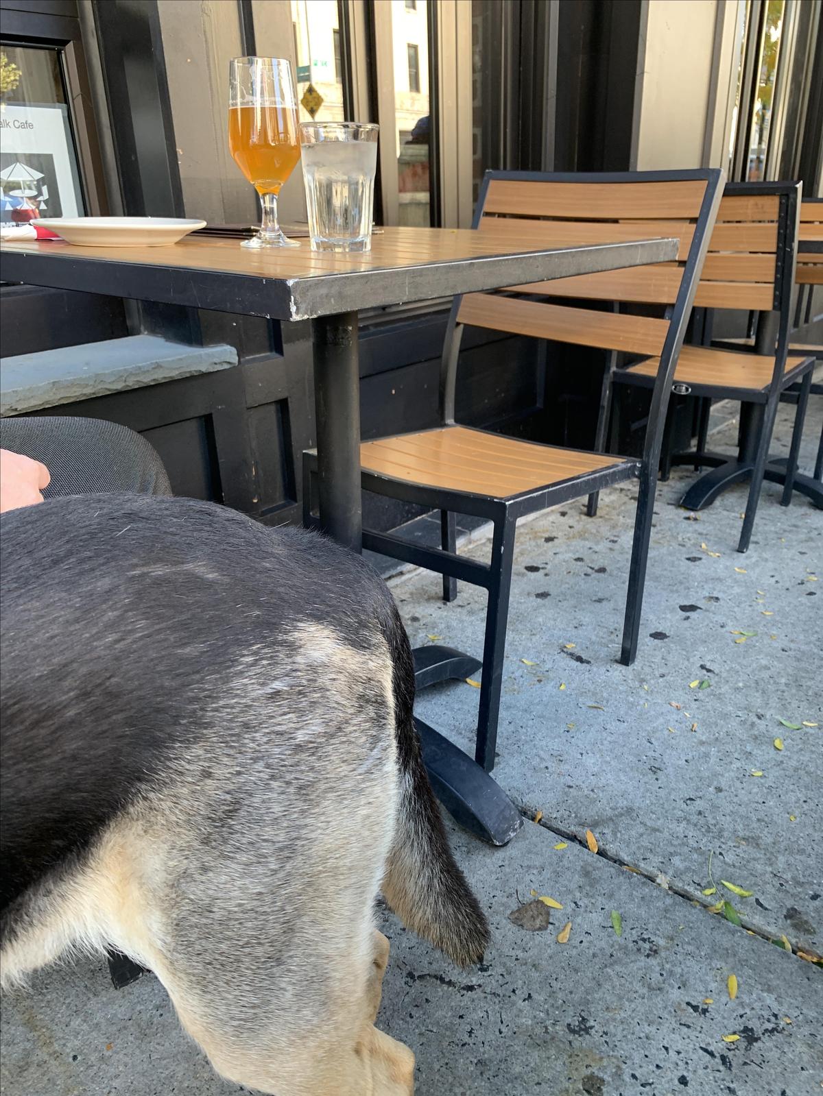 Bronx Alehouse restaurant view 1