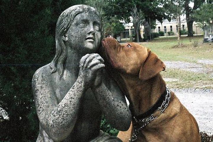 Pet-Friendly Ghost Tours That Welcome Man's Best "Fiend" Pet-Friendly Ghost Tours That Welcome Man's Best "Fiend"