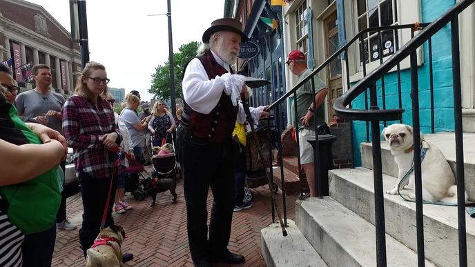 Baltimore Ghost Tours welcomes dogs. Bring your dog on a pet-friendly ghost tour of Baltimore.
